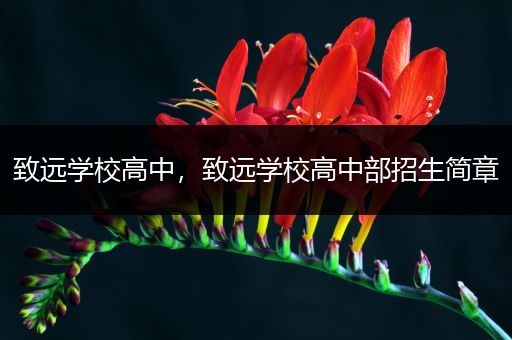 致远学校高中，致远学校高中部招生简章