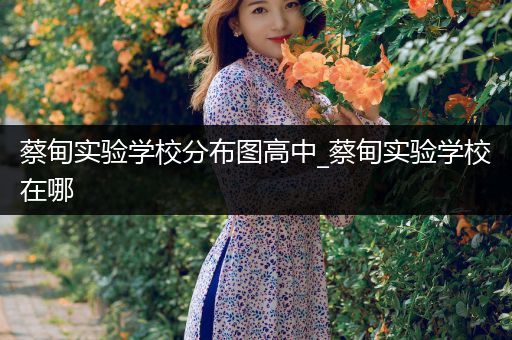 蔡甸实验学校分布图高中_蔡甸实验学校在哪