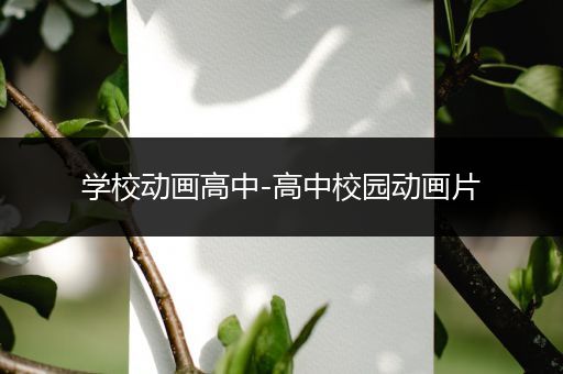 学校动画高中-高中校园动画片