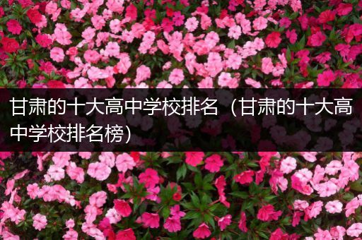 甘肃的十大高中学校排名（甘肃的十大高中学校排名榜）