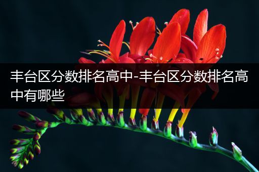 丰台区分数排名高中-丰台区分数排名高中有哪些