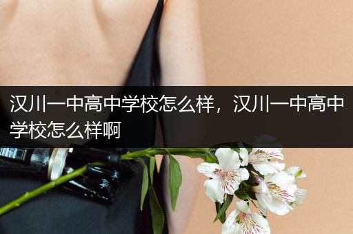 汉川一中高中学校怎么样，汉川一中高中学校怎么样啊