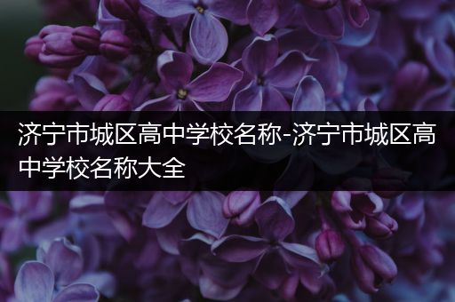 济宁市城区高中学校名称-济宁市城区高中学校名称大全