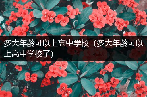 多大年龄可以上高中学校（多大年龄可以上高中学校了）