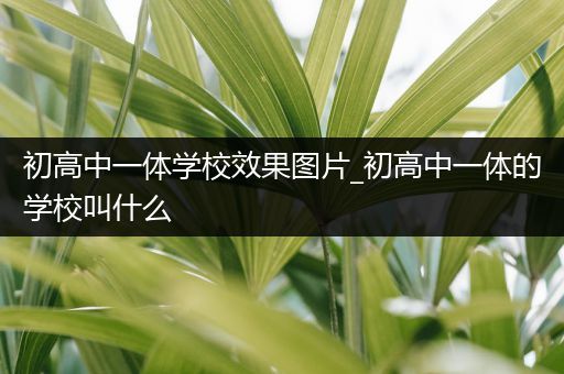 初高中一体学校效果图片_初高中一体的学校叫什么