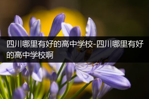 四川哪里有好的高中学校-四川哪里有好的高中学校啊