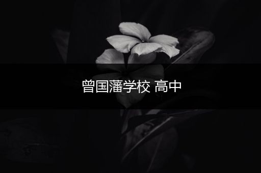 曾国藩学校 高中