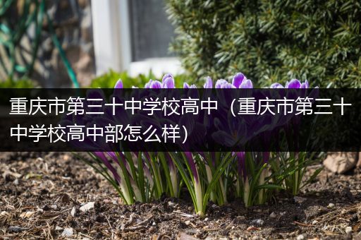 重庆市第三十中学校高中（重庆市第三十中学校高中部怎么样）