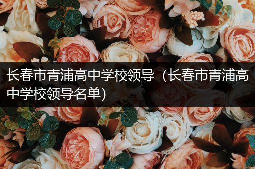 长春市青浦高中学校领导（长春市青浦高中学校领导名单）
