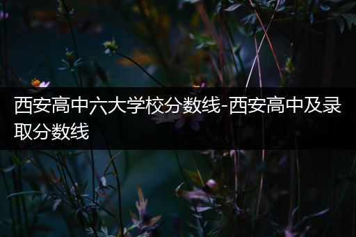 西安高中六大学校分数线-西安高中及录取分数线