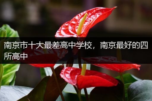 南京市十大最差高中学校，南京最好的四所高中