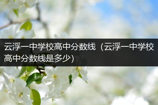 云浮一中学校高中分数线（云浮一中学校高中分数线是多少）