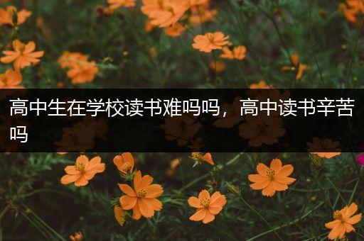 高中生在学校读书难吗吗，高中读书辛苦吗
