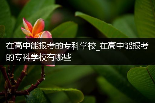 在高中能报考的专科学校_在高中能报考的专科学校有哪些