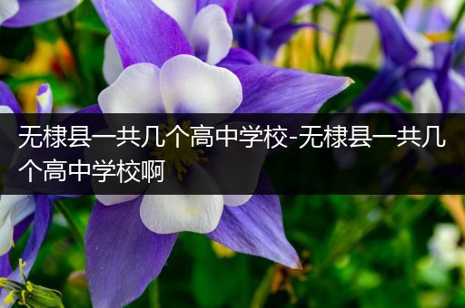 无棣县一共几个高中学校-无棣县一共几个高中学校啊