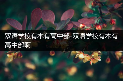双语学校有木有高中部-双语学校有木有高中部啊