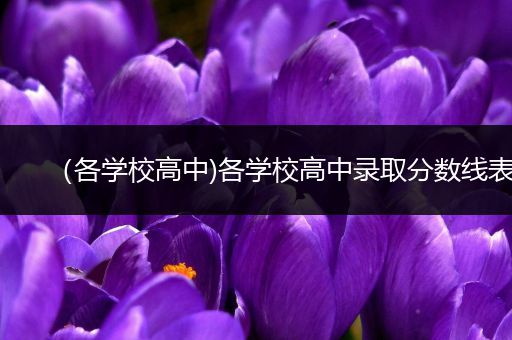 （各学校高中)各学校高中录取分数线表