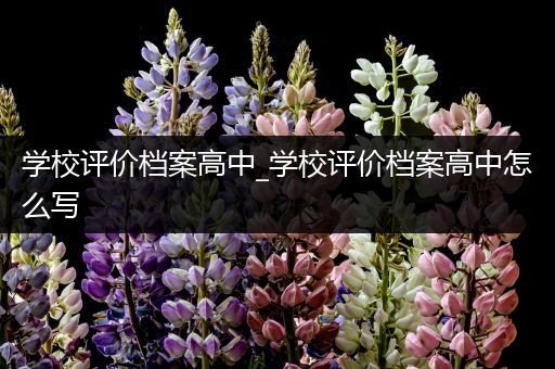 学校评价档案高中_学校评价档案高中怎么写