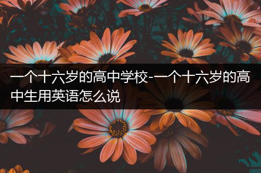 一个十六岁的高中学校-一个十六岁的高中生用英语怎么说