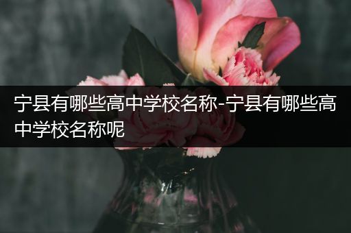 宁县有哪些高中学校名称-宁县有哪些高中学校名称呢
