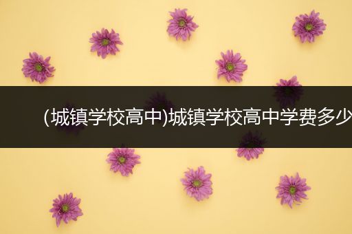 （城镇学校高中)城镇学校高中学费多少