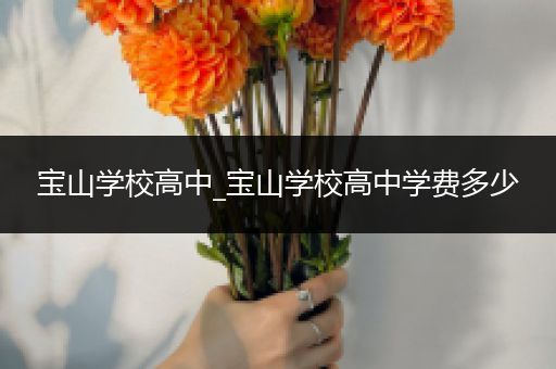 宝山学校高中_宝山学校高中学费多少