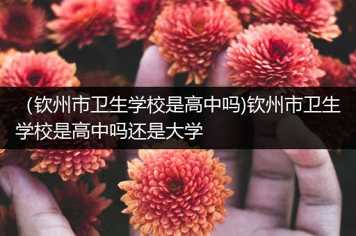 （钦州市卫生学校是高中吗)钦州市卫生学校是高中吗还是大学
