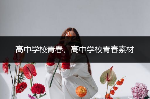 高中学校青春，高中学校青春素材
