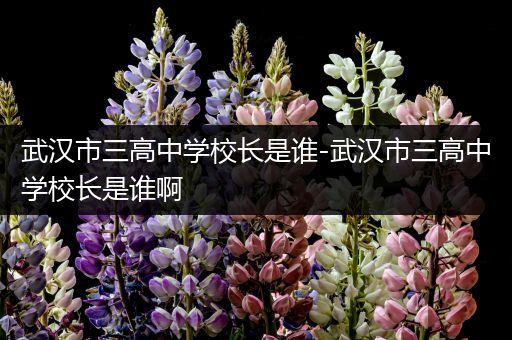 武汉市三高中学校长是谁-武汉市三高中学校长是谁啊