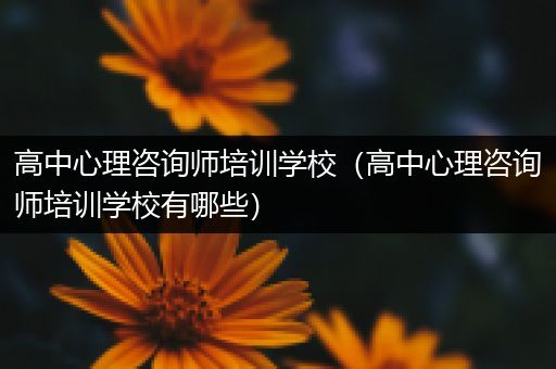 高中心理咨询师培训学校（高中心理咨询师培训学校有哪些）