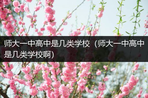 师大一中高中是几类学校（师大一中高中是几类学校啊）