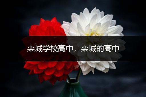 栾城学校高中，栾城的高中