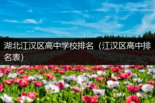 湖北江汉区高中学校排名（江汉区高中排名表）