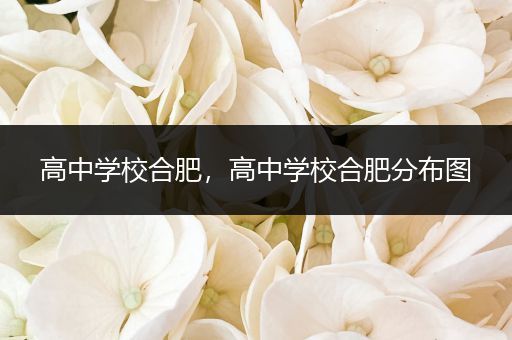 高中学校合肥，高中学校合肥分布图