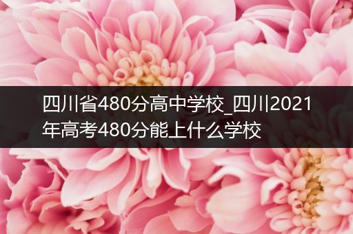 四川省480分高中学校_四川2021年高考480分能上什么学校