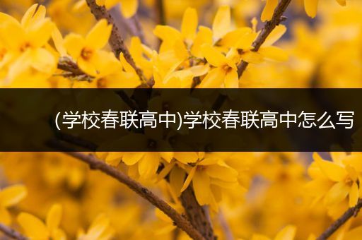 （学校春联高中)学校春联高中怎么写