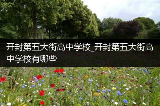 开封第五大街高中学校_开封第五大街高中学校有哪些