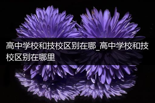 高中学校和技校区别在哪_高中学校和技校区别在哪里