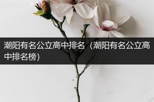 潮阳有名公立高中排名（潮阳有名公立高中排名榜）