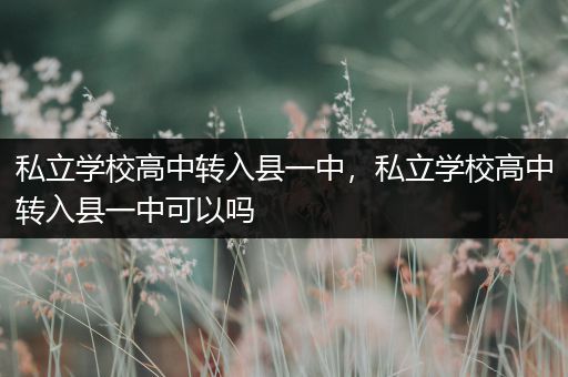私立学校高中转入县一中，私立学校高中转入县一中可以吗