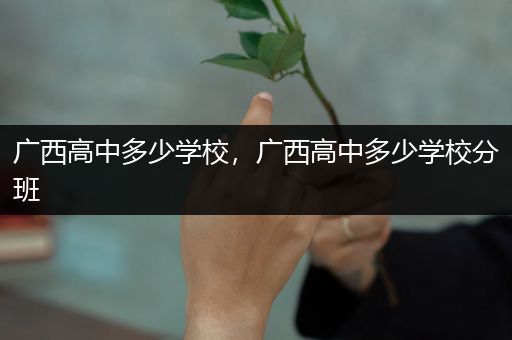 广西高中多少学校，广西高中多少学校分班