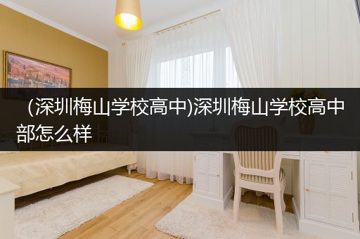 （深圳梅山学校高中)深圳梅山学校高中部怎么样