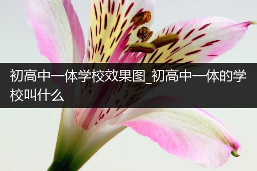 初高中一体学校效果图_初高中一体的学校叫什么