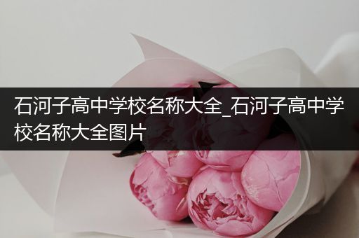 石河子高中学校名称大全_石河子高中学校名称大全图片