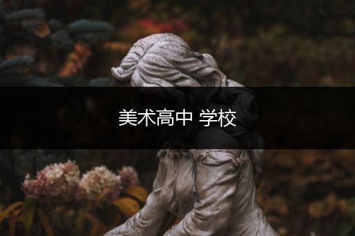 美术高中 学校