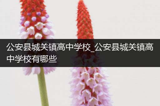 公安县城关镇高中学校_公安县城关镇高中学校有哪些