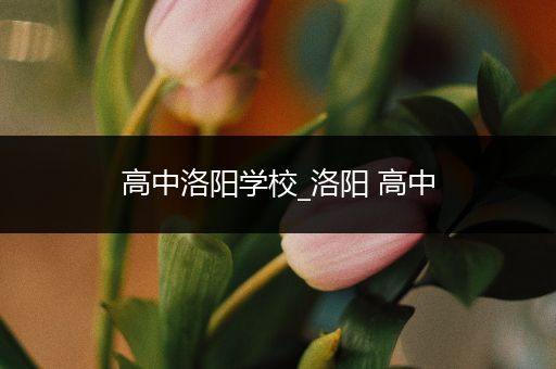 高中洛阳学校_洛阳 高中
