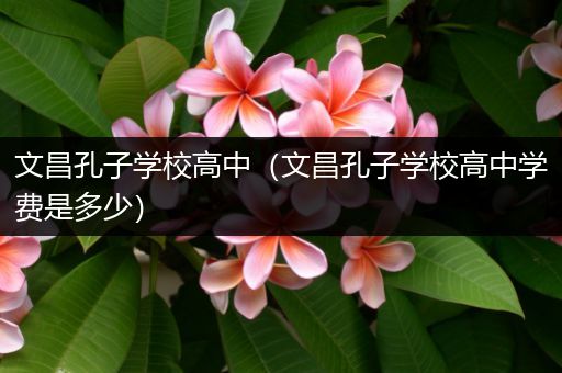 文昌孔子学校高中（文昌孔子学校高中学费是多少）