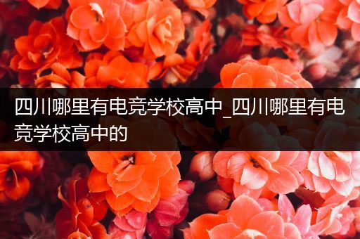 四川哪里有电竞学校高中_四川哪里有电竞学校高中的