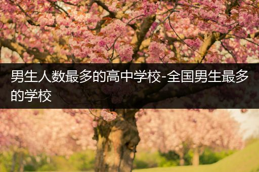 男生人数最多的高中学校-全国男生最多的学校